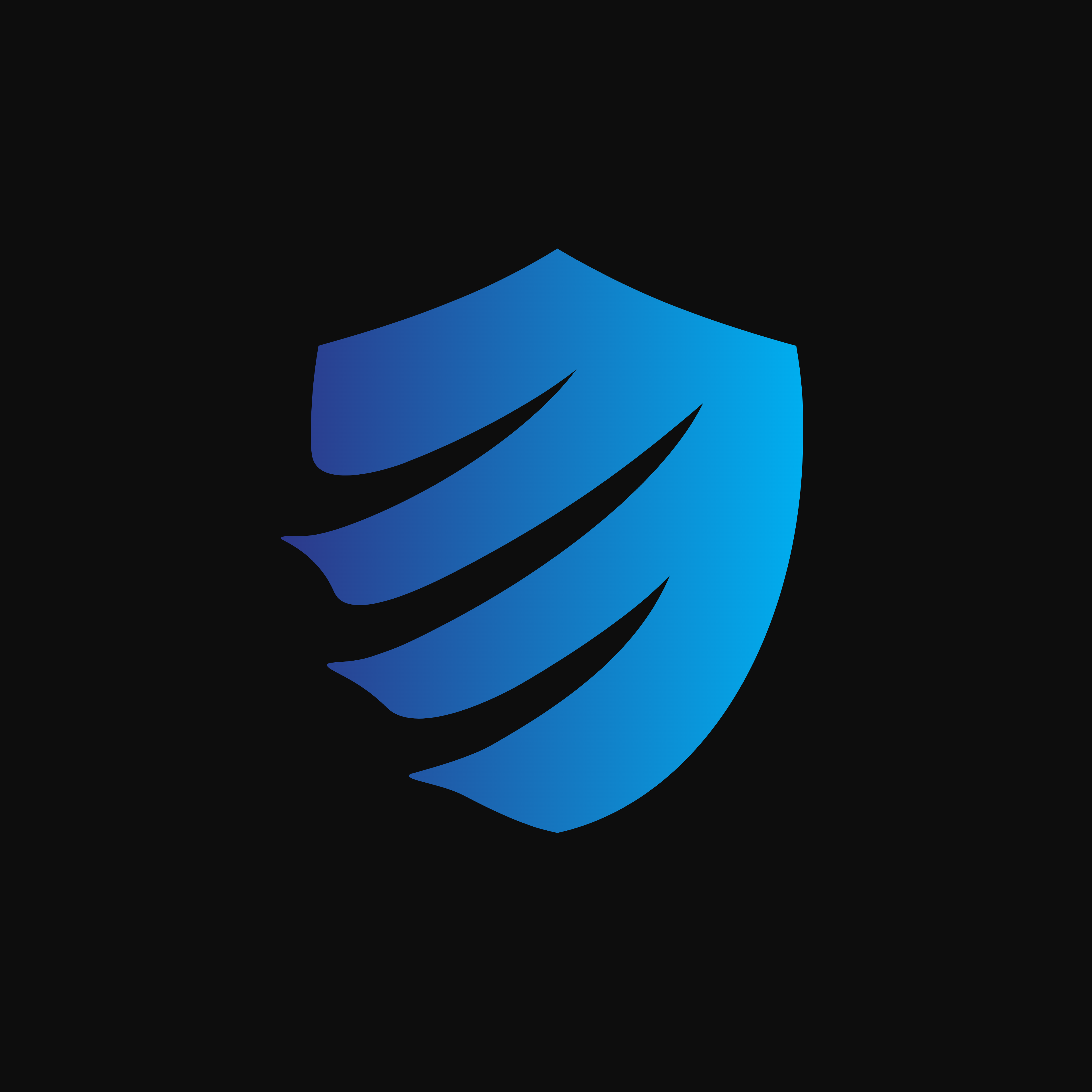 Vulnebify API