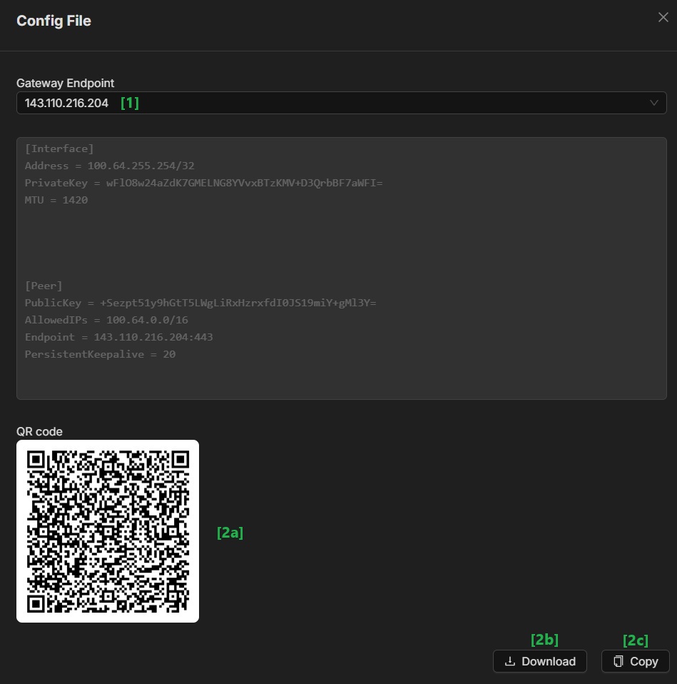 View WIreGuard Client Config
